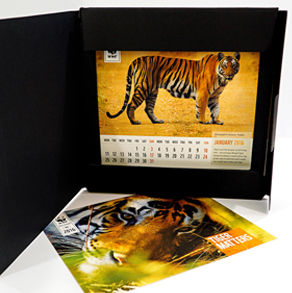 Printing & Binding Services