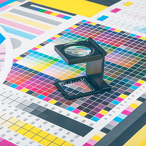 Professional Printing Services